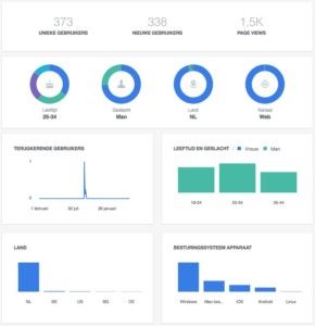 Analytics van het Facebook Pixel