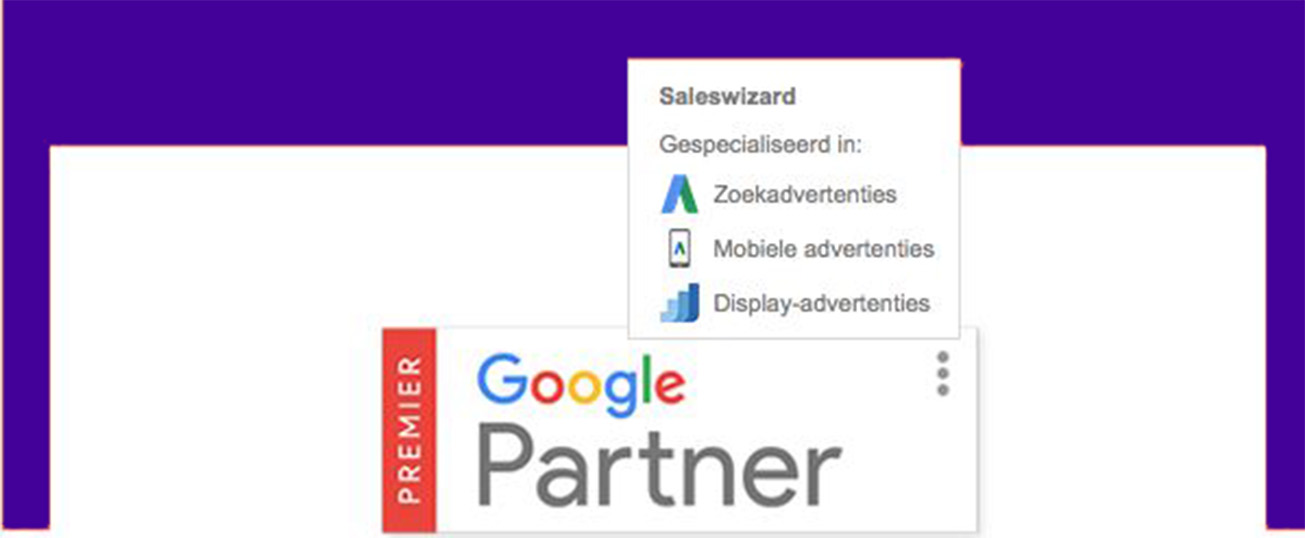 Saleswizard Google Premier Partner